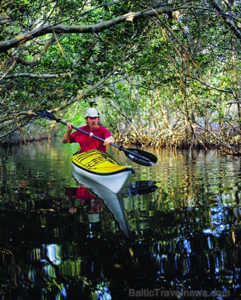 Saulainā Florida, kur saule spīd 300 dienas gadā, spēj apburt ikvienu. Foto: www.visitclearwaterflorida.com Saulainā Florida, kur saule spīd 300 dienas gadā, spēj apburt ikvienu. Foto: www.visitclearwaterflorida.com 83062