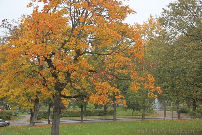 Vidzemes pilsēta Cēsis rudenī. Foto sponsors: www.tourism.cesis.lv 83160