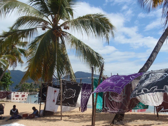 Madagaskaras sala Nosy Be jeb Lielā sala piedāvā tās viesiem plašu dabas un augu dažādību. Foto:  www.a-sono.lv 84098