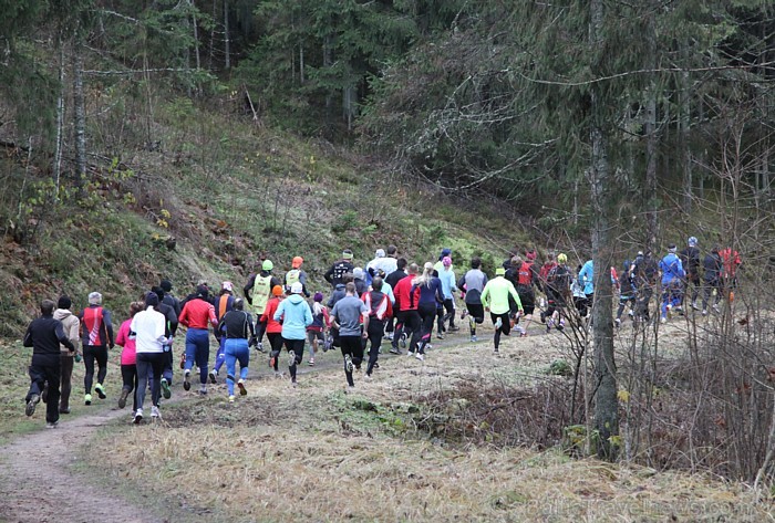 Sezonas noslēguma skrējiens Zilajos kalnos 10.11.2012. Foto sponsors: www.LatvijasCentrs.lv 84560