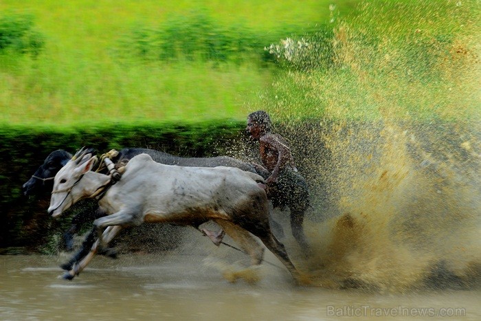 Kerala ir viens no Indijas štatiem, kas atrodas Indostānas pussalas dienvidos un Keralu sauc par Dievu, maģijas un garšvielu zemi. Foto:www.keralatour Kerala ir viens no Indijas štatiem, kas atrodas Indostānas pussalas dienvidos un Keralu sauc par Dievu, maģijas un garšvielu zemi. Foto:www.keralatour 84728