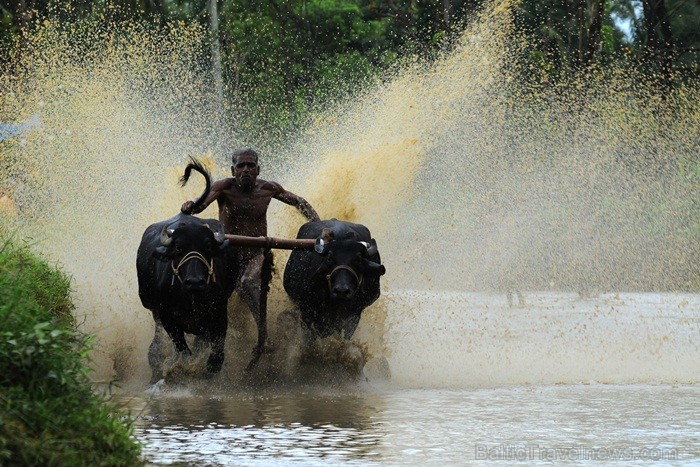 Kerala ir viens no Indijas štatiem, kas atrodas Indostānas pussalas dienvidos un Keralu sauc par Dievu, maģijas un garšvielu zemi. Foto:www.keralatour Kerala ir viens no Indijas štatiem, kas atrodas Indostānas pussalas dienvidos un Keralu sauc par Dievu, maģijas un garšvielu zemi. Foto:www.keralatour 84729