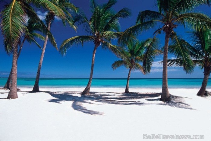 Dominikānas Republika aizņem divas trešdaļas Haiti salas un tā ir otrā lielākā valsts Karību reģionā. Foto: www.godominicanrepublic.com Dominikānas Republika aizņem divas trešdaļas Haiti salas un tā ir otrā lielākā valsts Karību reģionā. Foto: www.godominicanrepublic.com 84803