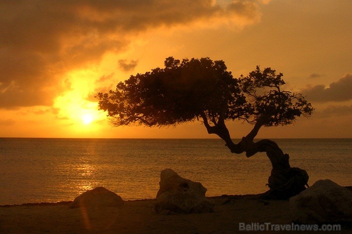 Aruba ir 33km gara sala Mazo Antiļu salu grupā, kas kopā ar Nīderlandi, Sintmārtenu un Kirasao veido Nīderlandes karalisti. Foto: www.aruba.com Aruba ir 33km gara sala Mazo Antiļu salu grupā, kas kopā ar Nīderlandi, Sintmārtenu un Kirasao veido Nīderlandes karalisti. Foto: www.aruba.com 85350