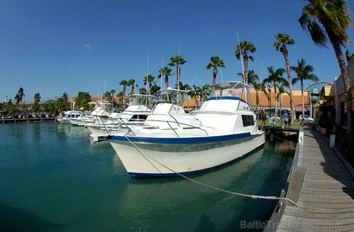 Aruba ir 33km gara sala Mazo Antiļu salu grupā, kas kopā ar Nīderlandi, Sintmārtenu un Kirasao veido Nīderlandes karalisti. Foto: www.aruba.com Aruba ir 33km gara sala Mazo Antiļu salu grupā, kas kopā ar Nīderlandi, Sintmārtenu un Kirasao veido Nīderlandes karalisti. Foto: www.aruba.com 85358
