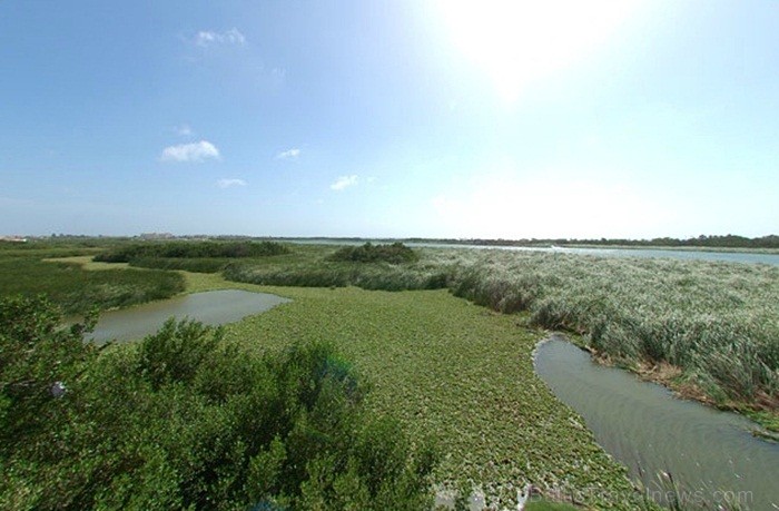 Aruba ir 33km gara sala Mazo Antiļu salu grupā, kas kopā ar Nīderlandi, Sintmārtenu un Kirasao veido Nīderlandes karalisti. Foto: www.aruba.com Aruba ir 33km gara sala Mazo Antiļu salu grupā, kas kopā ar Nīderlandi, Sintmārtenu un Kirasao veido Nīderlandes karalisti. Foto: www.aruba.com 85368