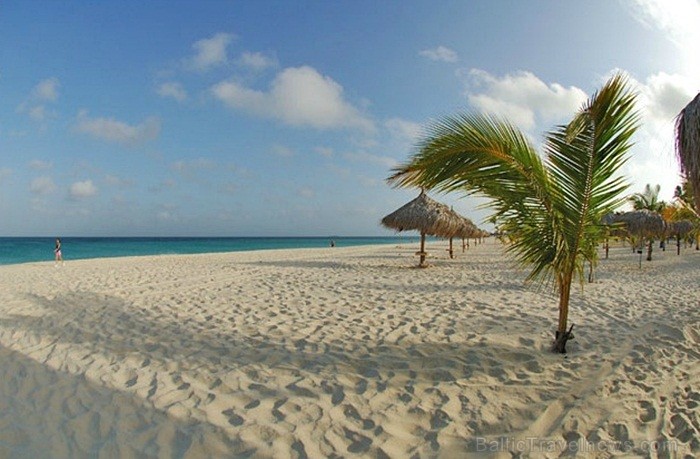 Aruba ir 33km gara sala Mazo Antiļu salu grupā, kas kopā ar Nīderlandi, Sintmārtenu un Kirasao veido Nīderlandes karalisti. Foto: www.aruba.com Aruba ir 33km gara sala Mazo Antiļu salu grupā, kas kopā ar Nīderlandi, Sintmārtenu un Kirasao veido Nīderlandes karalisti. Foto: www.aruba.com 85380