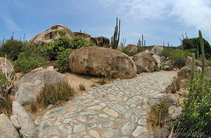 Aruba ir 33km gara sala Mazo Antiļu salu grupā, kas kopā ar Nīderlandi, Sintmārtenu un Kirasao veido Nīderlandes karalisti. Foto: www.aruba.com Aruba ir 33km gara sala Mazo Antiļu salu grupā, kas kopā ar Nīderlandi, Sintmārtenu un Kirasao veido Nīderlandes karalisti. Foto: www.aruba.com 85384