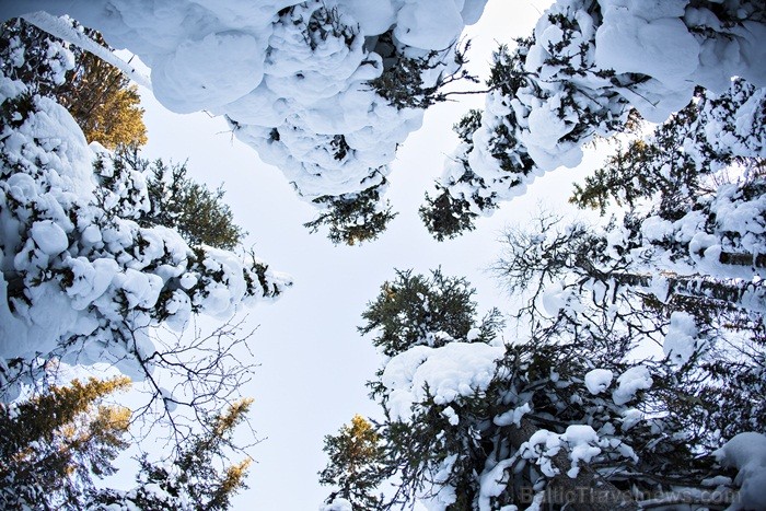 Bērnus Somijā apciemo Ziemassvētku vecītis Joulupukke, kas tulkojumā nozīmē Ziemassvētku āzis. Foto: www.visitfinland.com Bērnus Somijā apciemo Ziemassvētku vecītis Joulupukke, kas tulkojumā nozīmē Ziemassvētku āzis. Foto: www.visitfinland.com 85890