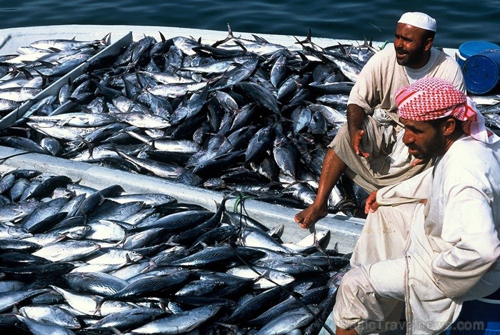 Omānas Sultanāts tiek dēvēts par vienu no tradicionālākajām un skaistākajām arābu zemēm. Foto: Oman Ministry of Tourism Omānas Sultanāts tiek dēvēts par vienu no tradicionālākajām un skaistākajām arābu zemēm. Foto: Oman Ministry of Tourism 86817