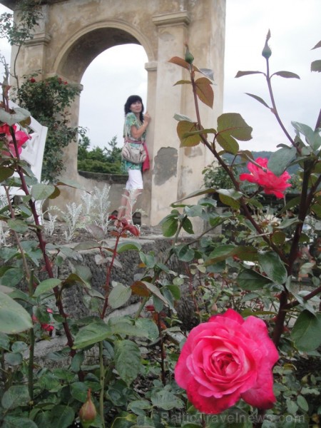 Dečinas rožu dārzi. Remiro Travel piedāvā braucienus 2013. gada jūlijā un augustā uz Saksijas un Bohēmijas Šveici. Foto: www.remirotravel.lv Dečinas rožu dārzi. Remiro Travel piedāvā braucienus 2013. gada jūlijā un augustā uz Saksijas un Bohēmijas Šveici. Foto: www.remirotravel.lv 87287
