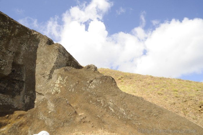 Kalnā tika atrasti aptuveni 100 Moai, kas bija nepabeigti, tos izvilka un uzstādija visur ap salu - www.traveltime.lv Kalnā tika atrasti aptuveni 100 Moai, kas bija nepabeigti, tos izvilka un uzstādija visur ap salu - www.traveltime.lv 89438