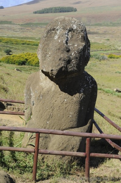 Šis ir vienīgais sēdošais Moai pa visu salu. Visi pārējie Moai ir stāvošā pozīcijā - www.traveltime.lv Šis ir vienīgais sēdošais Moai pa visu salu. Visi pārējie Moai ir stāvošā pozīcijā - www.traveltime.lv 89439