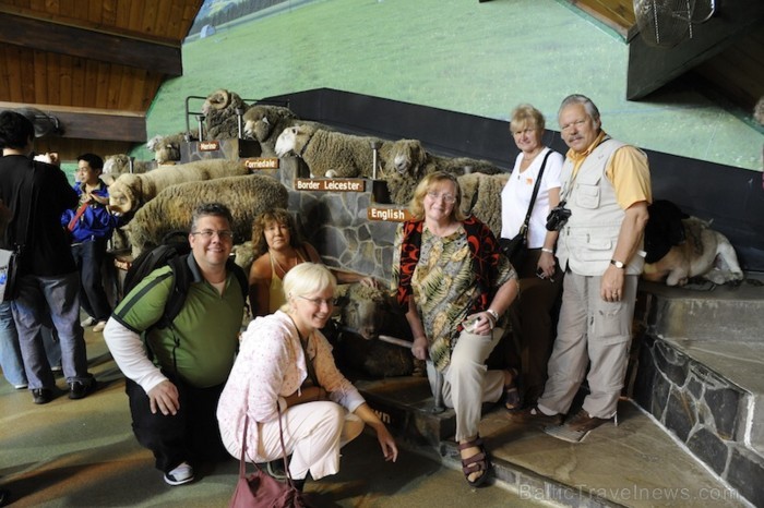 Nākošajā dienā mēs baudījām Agrodome šovu, kas ir tradicionālais Jaunzēlandes pasākums, kur var iepazīsties ar Jaunzēlandes kultūru - www.traveltime.l Nākošajā dienā mēs baudījām Agrodome šovu, kas ir tradicionālais Jaunzēlandes pasākums, kur var iepazīsties ar Jaunzēlandes kultūru - www.traveltime.l 89463