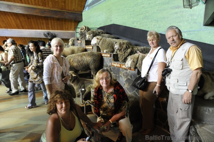 Nākošajā dienā mēs baudījām Agrodome šovu, kas ir tradicionālais Jaunzēlandes pasākums, kur var iepazīsties ar Jaunzēlandes kultūru - www.traveltime.l Nākošajā dienā mēs baudījām Agrodome šovu, kas ir tradicionālais Jaunzēlandes pasākums, kur var iepazīsties ar Jaunzēlandes kultūru - www.traveltime.l 89466