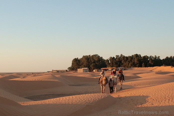 Dodies ar kamieli iepazīt Sahāras saullēktu Tunisijā. Vairāk informācijas par Tunisiju kā tūrisma galamērķi www.tourisme.gov.tn Dodies ar kamieli iepazīt Sahāras saullēktu Tunisijā. Vairāk informācijas par Tunisiju kā tūrisma galamērķi www.tourisme.gov.tn 90031