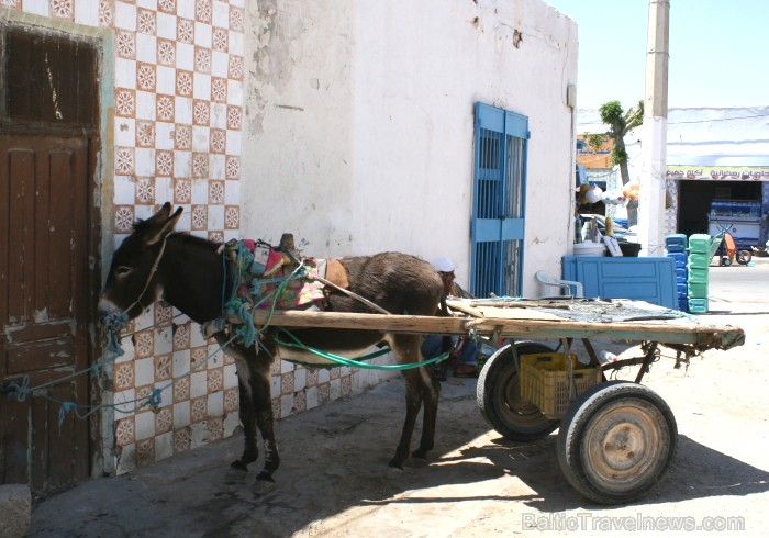 Medenina ir Tunisijas pilsēta, uz kuru ceļotāji dodas brīnumaino panorāmu meklējumos. Te var atrast berberu un romiešu kultūru pieminekļus. Šodien ied Medenina ir Tunisijas pilsēta, uz kuru ceļotāji dodas brīnumaino panorāmu meklējumos. Te var atrast berberu un romiešu kultūru pieminekļus. Šodien ied 90342