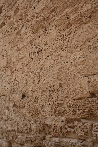 Ghazi Mustapha Fort ir nozīmīgs tūrisma objekts Džerbas salā (Tunisija). Tas tika celts 15.gds., kad sultāns Abu Fares gatavojās cīņai pret spāņu kara Ghazi Mustapha Fort ir nozīmīgs tūrisma objekts Džerbas salā (Tunisija). Tas tika celts 15.gds., kad sultāns Abu Fares gatavojās cīņai pret spāņu kara 90371