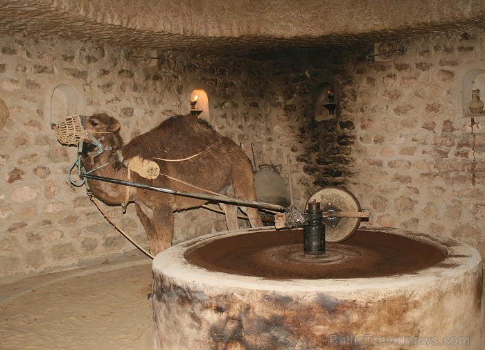 Guellala ciematā (Džerba, Tunisija) atrodas etnogrāfijas muzejs. Te var iepazīt Tunisijas tautas vēsturi: tradīcijas, paražas, kāzu rituālus, bērna pi Guellala ciematā (Džerba, Tunisija) atrodas etnogrāfijas muzejs. Te var iepazīt Tunisijas tautas vēsturi: tradīcijas, paražas, kāzu rituālus, bērna pi 90453