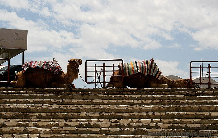 Mazā Tunisijas pilsētā El-Jem atrodas liels un slavens kolizejs. Tas tika uzcelts pirms 1800 gadiem. Tieši šajā kolizejā tika uzņemta slavena Holivuda Mazā Tunisijas pilsētā El-Jem atrodas liels un slavens kolizejs. Tas tika uzcelts pirms 1800 gadiem. Tieši šajā kolizejā tika uzņemta slavena Holivuda 90480