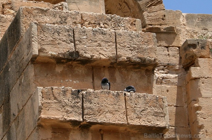 Mazā Tunisijas pilsētā El-Jem atrodas liels un slavens kolizejs. Tas tika uzcelts pirms 1800 gadiem. Tieši šajā kolizejā tika uzņemta slavena Holivuda Mazā Tunisijas pilsētā El-Jem atrodas liels un slavens kolizejs. Tas tika uzcelts pirms 1800 gadiem. Tieši šajā kolizejā tika uzņemta slavena Holivuda 90487