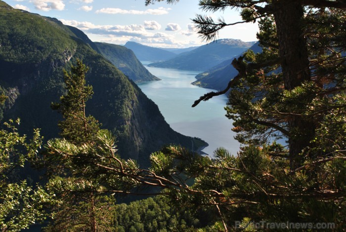 Sognefjords ir pats garākais fjords pasaulē un tiek saukts par fjordu karali. Tas ir 219 kilometru garš, sešus kilometrus plats un līdz pat 1308 metru Sognefjords ir pats garākais fjords pasaulē un tiek saukts par fjordu karali. Tas ir 219 kilometru garš, sešus kilometrus plats un līdz pat 1308 metru 90847