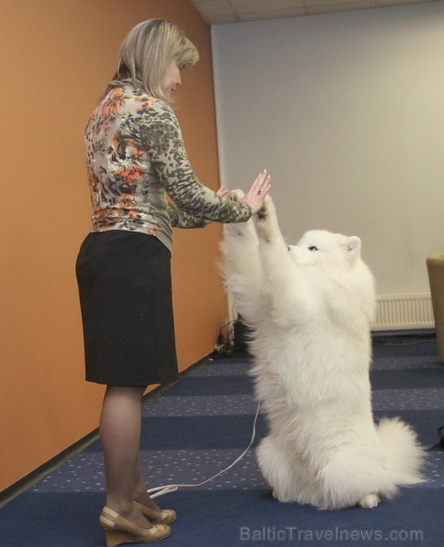 Tuvojas starptautiskajā mājdzīvnieku un zooindustrijas izstādē «Pet Ekspo» 30.03.-31.03.2013 - www.bt1.lv Tuvojas starptautiskajā mājdzīvnieku un zooindustrijas izstādē «Pet Ekspo» 30.03.-31.03.2013 - www.bt1.lv 90888