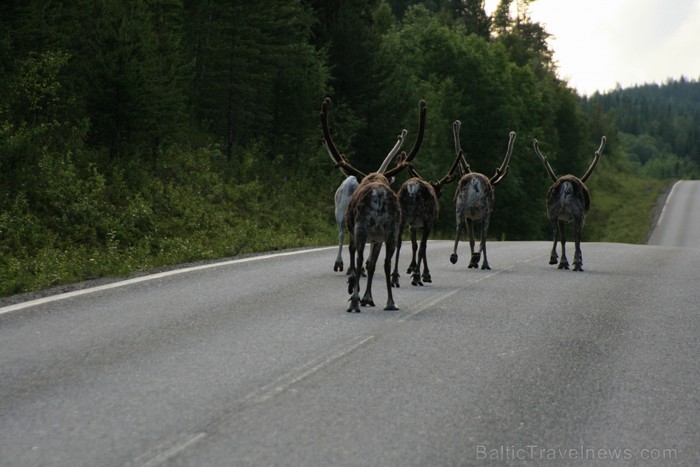 Norvēģijas dabas skaistums un neatkārtojamība redzama ik uz soļa www.visitnorway.com 92477