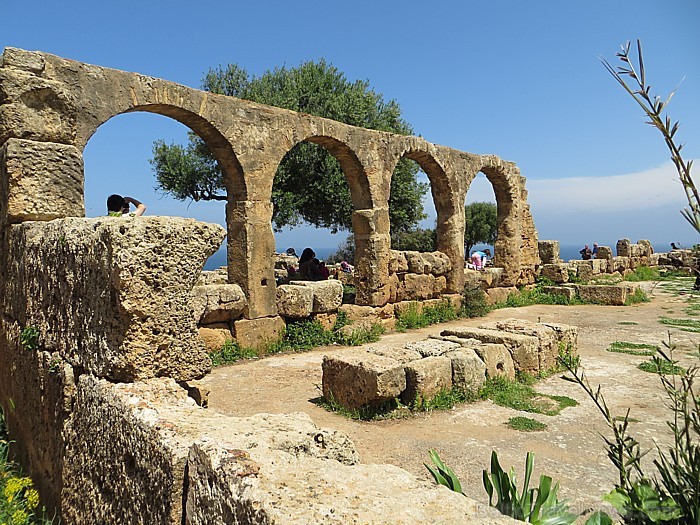 Antīkās arkas 93313