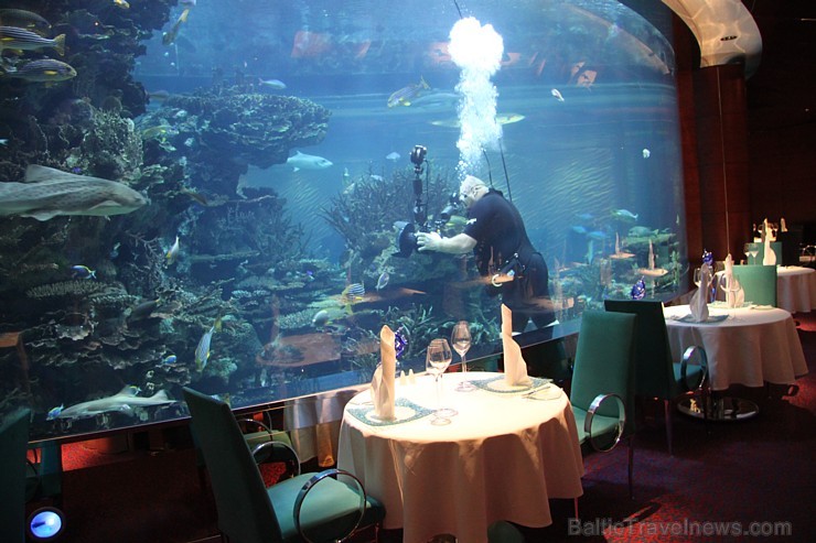 Travelnews.lv apmeklē pasaules populāro luksus viesnīcu Burj Al Arab, kas atrodas Dubaijā. Foto sponsors: www.GoAdventure.lv Travelnews.lv apmeklē pasaules populāro luksus viesnīcu Burj Al Arab, kas atrodas Dubaijā. Foto sponsors: www.GoAdventure.lv 94634