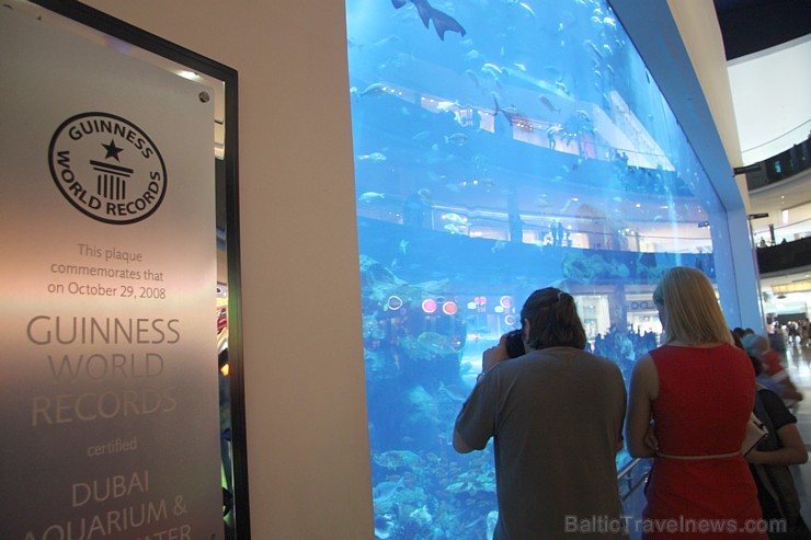 Travelnews.lv redakcija apmeklē pasaules lielāko iepirkšanās centru Dubai Mall, kur izvietojies milzīgs akvārijs. Foto sponsors: www.goadventure.lv Travelnews.lv redakcija apmeklē pasaules lielāko iepirkšanās centru Dubai Mall, kur izvietojies milzīgs akvārijs. Foto sponsors: www.goadventure.lv 95419