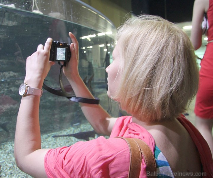 Travelnews.lv redakcija apmeklē pasaules lielāko iepirkšanās centru Dubai Mall, kur izvietojies milzīgs akvārijs. Foto sponsors: www.goadventure.lv Travelnews.lv redakcija apmeklē pasaules lielāko iepirkšanās centru Dubai Mall, kur izvietojies milzīgs akvārijs. Foto sponsors: www.goadventure.lv 95427