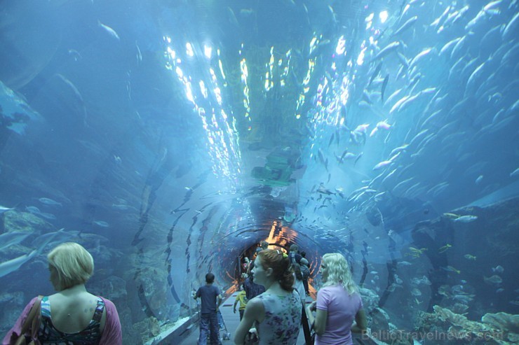 Travelnews.lv redakcija apmeklē pasaules lielāko iepirkšanās centru Dubai Mall, kur izvietojies milzīgs akvārijs. Foto sponsors: www.goadventure.lv Travelnews.lv redakcija apmeklē pasaules lielāko iepirkšanās centru Dubai Mall, kur izvietojies milzīgs akvārijs. Foto sponsors: www.goadventure.lv 95439