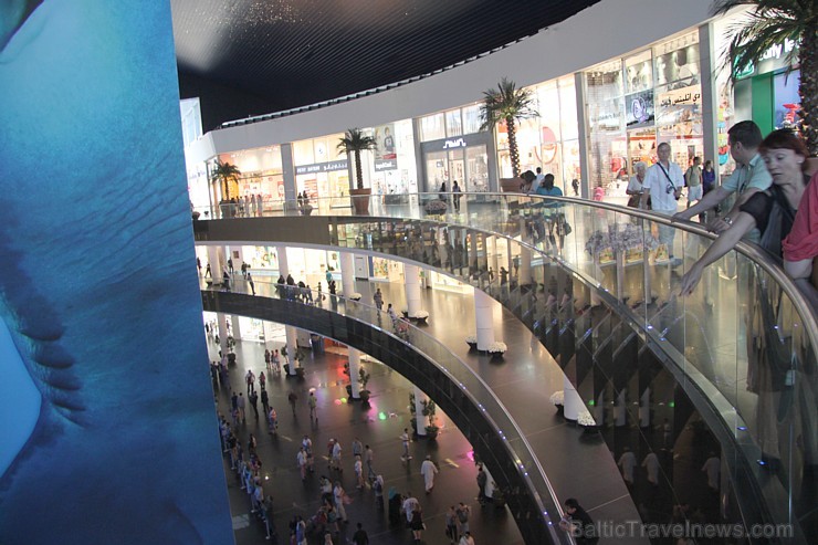 Travelnews.lv redakcija apmeklē pasaules lielāko iepirkšanās centru Dubai Mall, kur izvietojies milzīgs akvārijs. Foto sponsors: www.goadventure.lv Travelnews.lv redakcija apmeklē pasaules lielāko iepirkšanās centru Dubai Mall, kur izvietojies milzīgs akvārijs. Foto sponsors: www.goadventure.lv 95443