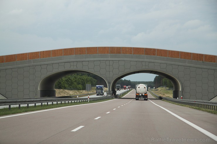 Polijas maksas autostrāde no Varšavas līdz Berlīnei. Dzīvnieku tilts virs autostrādes. Foto sponsors: www.sixt.lv Polijas maksas autostrāde no Varšavas līdz Berlīnei. Dzīvnieku tilts virs autostrādes. Foto sponsors: www.sixt.lv 97538