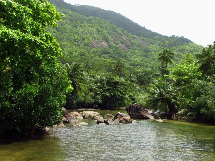 Galapagu salas, Madagaskara, Austrālija, Sokotras sala un Seišelu salas...šīm vietām ir kas kopīgs - pateicoties izolācijai un novietojumam pasaules k Galapagu salas, Madagaskara, Austrālija, Sokotras sala un Seišelu salas...šīm vietām ir kas kopīgs - pateicoties izolācijai un novietojumam pasaules k 104697