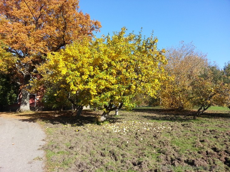 Ventspils TIC iesaka doties Zelta rudens ekskursijā par Ventspils novadu. Maršruts: Ventspils- Vārve- Zūras- Vendzavas- Zlēkas- Piltene- Landze- Vents 107600