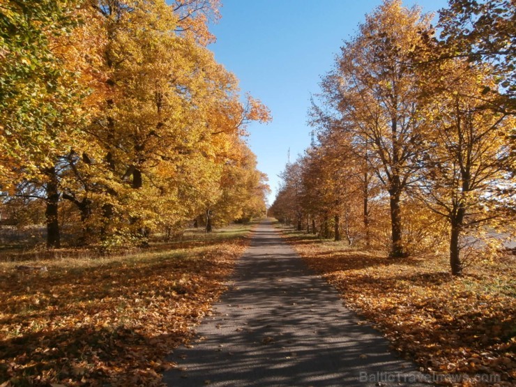 Ventspils TIC iesaka iepazīt Popi zelta rudens laikā 107693