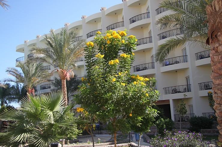 Travelnews.lv iepazīst Hurgadas viesnīcu «Festival Le Jardin Resort», ko piedāvā starptautiskais tūroperators GoAdventure Travelnews.lv iepazīst Hurgadas viesnīcu «Festival Le Jardin Resort», ko piedāvā starptautiskais tūroperators GoAdventure 108654