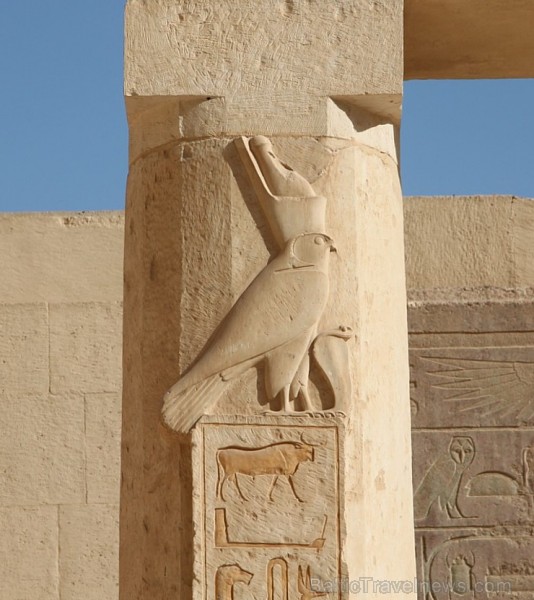 Travelnews.lv apmeklē valdnieces Hatšepsutas templi Luksorā. Vairāk informācijas par ceļojumiem uz Ēģipti - www.GoAdventure.lv Travelnews.lv apmeklē valdnieces Hatšepsutas templi Luksorā. Vairāk informācijas par ceļojumiem uz Ēģipti - www.GoAdventure.lv 109702