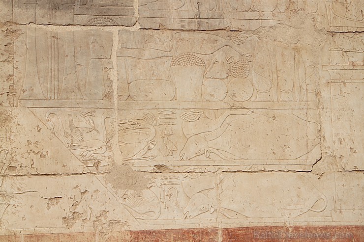Travelnews.lv apmeklē valdnieces Hatšepsutas templi Luksorā. Vairāk informācijas par ceļojumiem uz Ēģipti - www.GoAdventure.lv Travelnews.lv apmeklē valdnieces Hatšepsutas templi Luksorā. Vairāk informācijas par ceļojumiem uz Ēģipti - www.GoAdventure.lv 109707