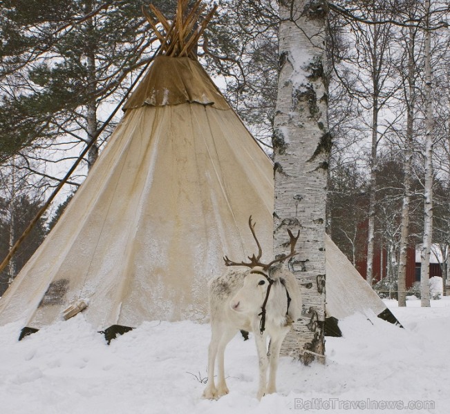 Ūmeo 2014 atklāšana notiks divas nedēļas vēlāk nekā Rīgā, proti, no 31. janvāra līdz 2. februārim Ūmeo 2014 atklāšana notiks divas nedēļas vēlāk nekā Rīgā, proti, no 31. janvāra līdz 2. februārim 112284