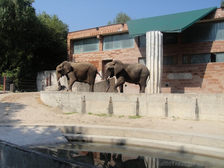 Bojnices ZOO.  Ceļojuma programmu var aplūkot šeit 117741
