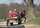 Zirga pajūgā apceļojam zudušās latgaliešu sādžas... Vanagišķi, Lozdovski, Ojatnīki 3