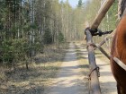 Zirga pajūgā apceļojam zudušās latgaliešu sādžas... Vanagišķi, Lozdovski, Ojatnīki 7
