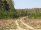 Zirga pajūgā apceļojam zudušās latgaliešu sādžas... Vanagišķi, Lozdovski, Ojatnīki 8