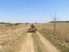 Zirga pajūgā apceļojam zudušās latgaliešu sādžas... Vanagišķi, Lozdovski, Ojatnīki 11