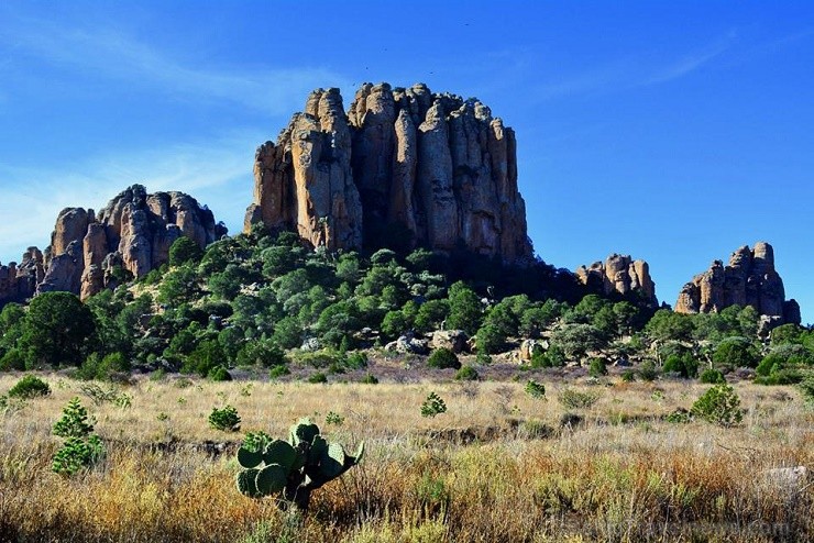 Kino režisoriem Durango ainavas likušās piemērotas kārtīgiem kovboju kases grāvējiem. Netālu esošais Sierra de Orgaos nacionālais parks ir kā vesterna Kino režisoriem Durango ainavas likušās piemērotas kārtīgiem kovboju kases grāvējiem. Netālu esošais Sierra de Orgaos nacionālais parks ir kā vesterna 128049