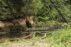 Cēsu apkārtnē noticis jauns taku skriešanas pasākums «Cēsis Eco Trail» 16