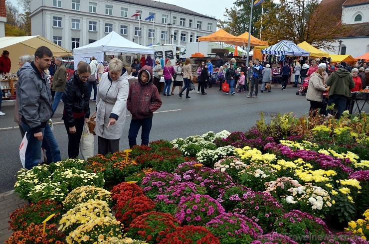 Sestdien, 11.oktobrī, Valmierā tika aizvadīts tradicionālais Simjūda gadatirgus. Šogad tas bija īpaši apmeklēts un priecēja kā pircējus, tā pārdevējus Sestdien, 11.oktobrī, Valmierā tika aizvadīts tradicionālais Simjūda gadatirgus. Šogad tas bija īpaši apmeklēts un priecēja kā pircējus, tā pārdevējus 136130